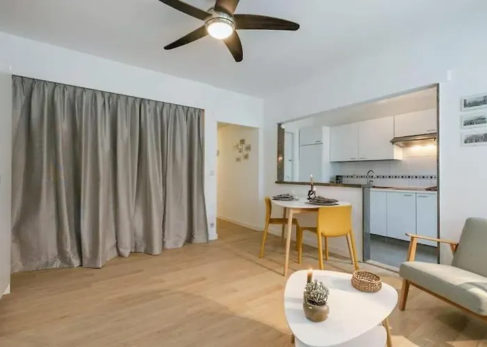 Marvin By Bloss Sunny Near The Sea Ostend